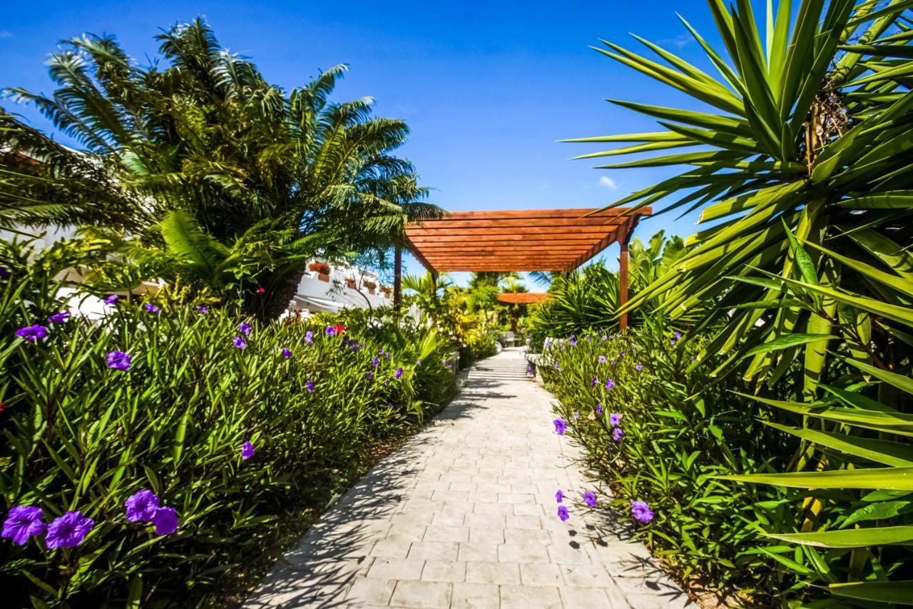 Parque Don Jose Apartment Costa Del Silencio Esterno foto
